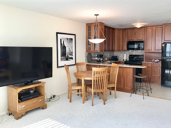 4th image of 1255 N Sandburg Ter Unit 704