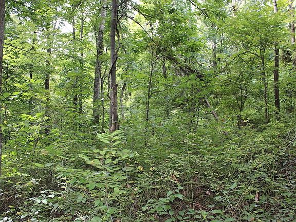 3rd image of 0 State Route 683