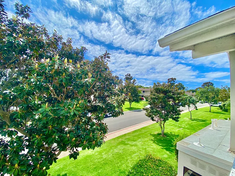7724 Camino Noguera — Photo 33