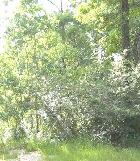 2nd image of 64052 Russell Town Rd
