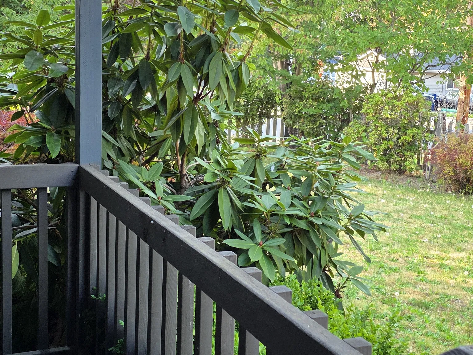 3 bed, 1.5 bath, 1116 sqft, $2,883 — Photo 2