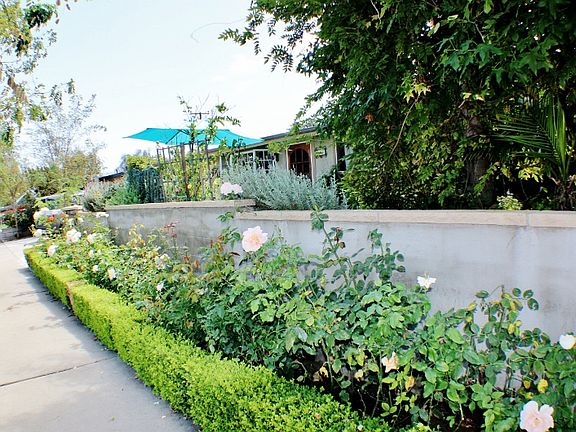 Your Rose Garden