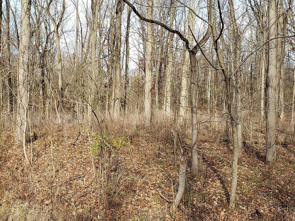 2nd image of 141-142 Hoffman Rd