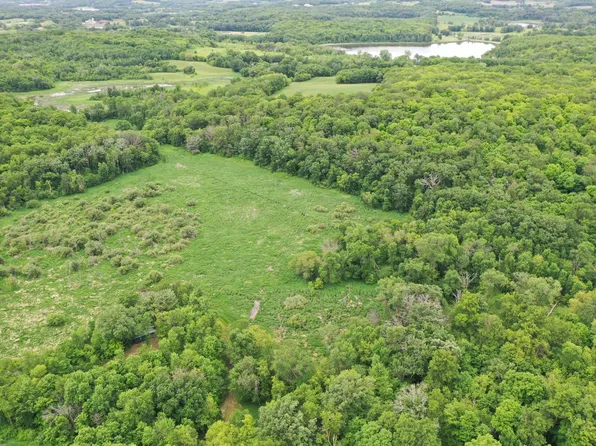 230th Ave, Erhard, MN 56534