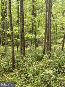 2835 Merrymans Mill Rd, Phoenix, MD, 21131