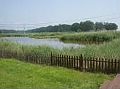 View of Marsh From Back Deck