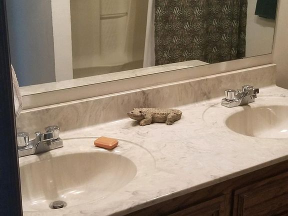 Dual sink, tub and shower