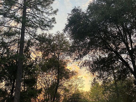 2nd image of 14623 Holly Ln