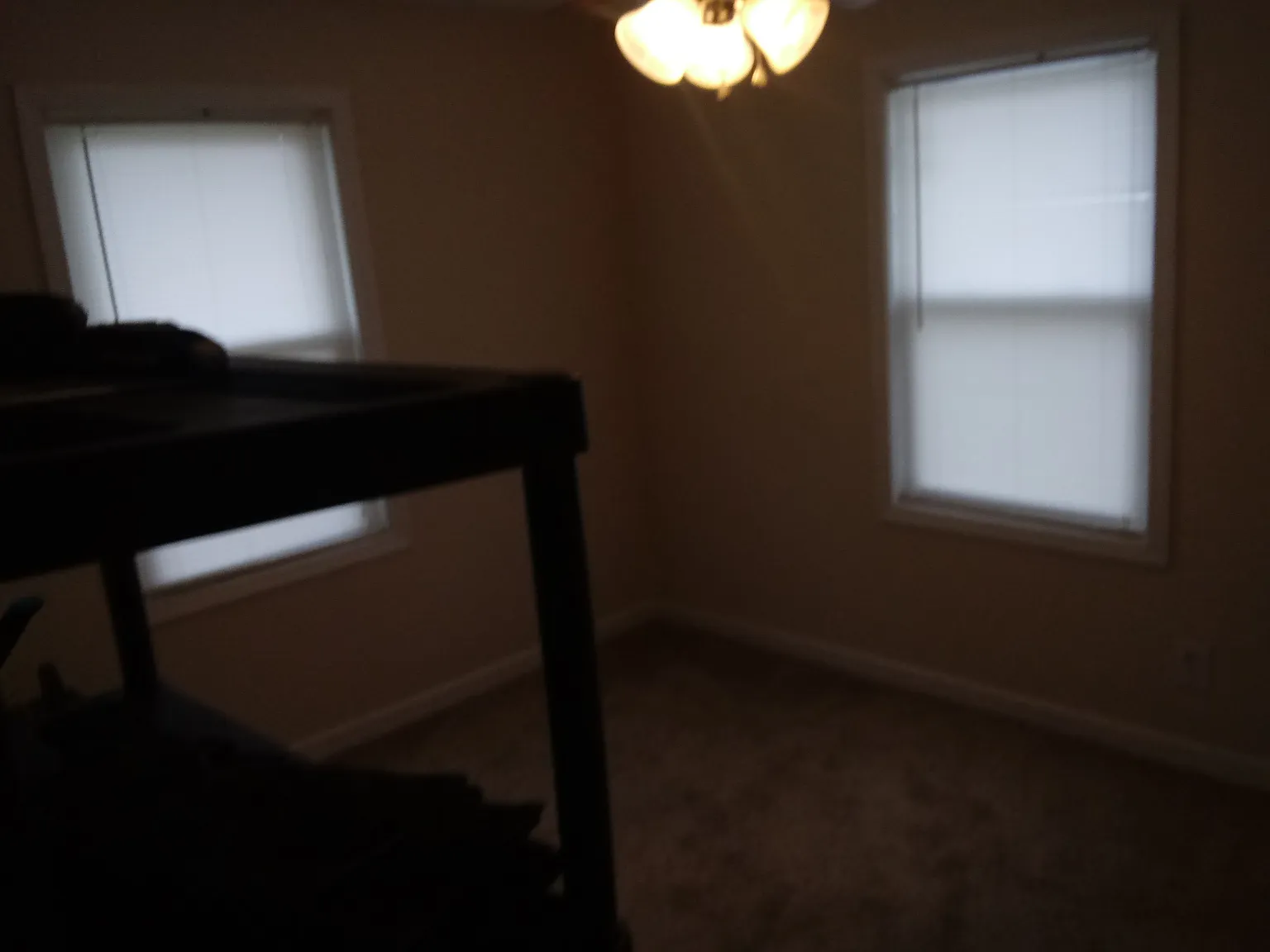 117 Sunset Dr photo 1