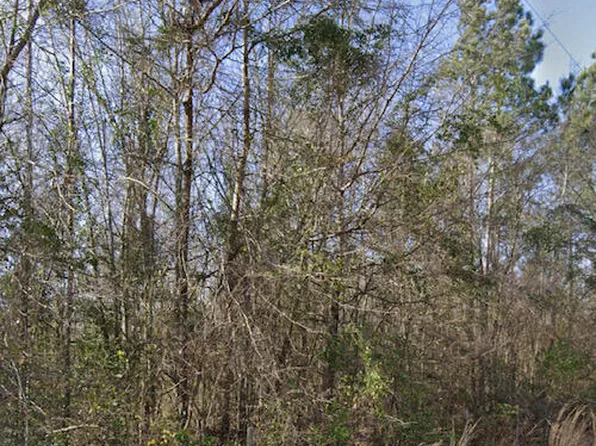 131 Cobblestone Rd, Ridge Spring, SC 29129