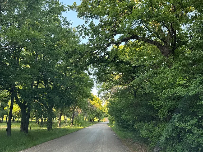 County Road 605B — Photo 8