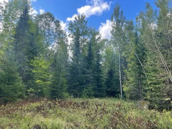 M5 L23-1 Hussey Road, Pittsfield, ME 04967