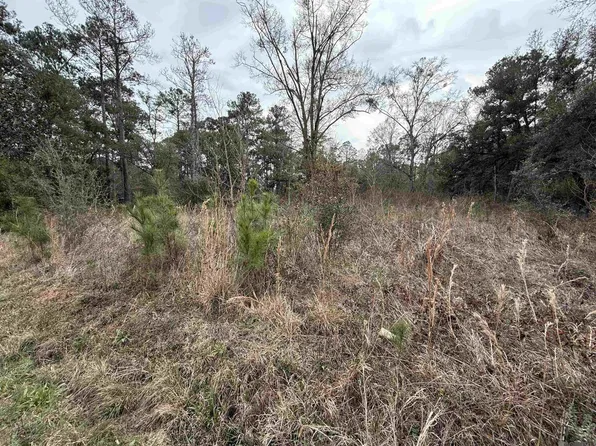26126 Cloverland Rd, Lacombe, LA 70445