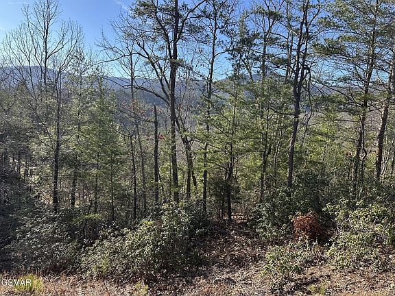 2nd image of 1306 Morning Dove Way Lot 32