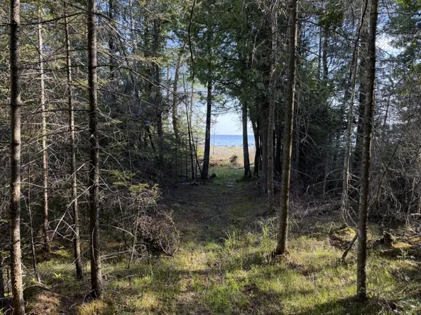 Cream City Point Rd Lot 3, Drummond Island, MI 49726