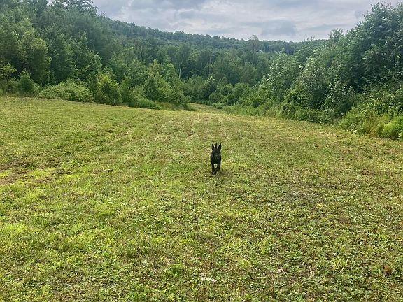4th image of Lot 2&3 Washburn/Meridan Hill Road