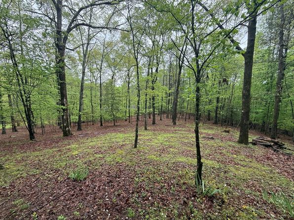 23 Focal Ct, Ellijay, GA 30540