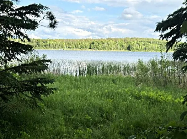 23506 Bazanis Rd, Cohasset, MN 55721