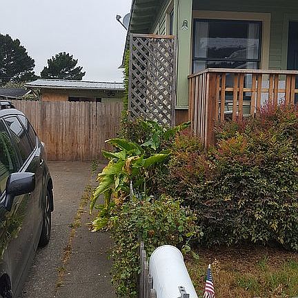 Drveway towards studio