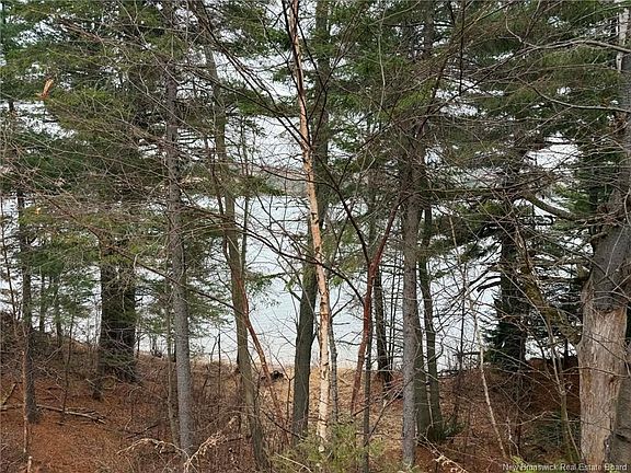 2nd image of 286 River Rd