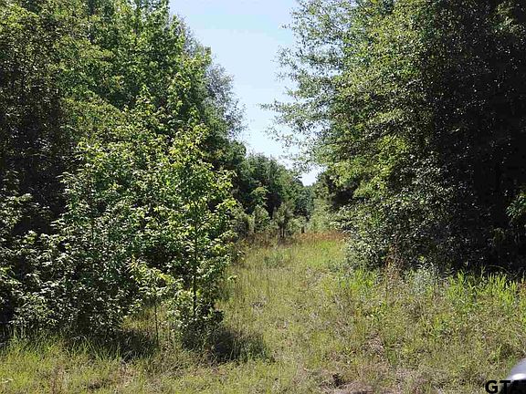 3rd image of Highway 155 Tract #1