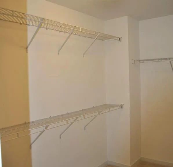 2420 Autumn Mist Dr — Photo 14