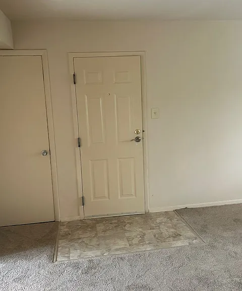 Southern Terrace — Photo 16