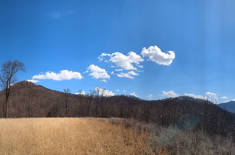 Primary peak on left