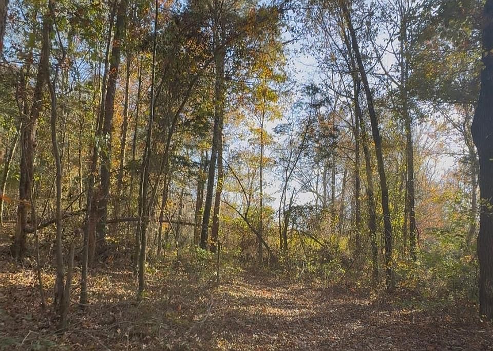 1st image of 0 County Road 215