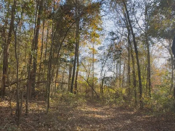 0 County Road 215, Abbeville, MS 38601