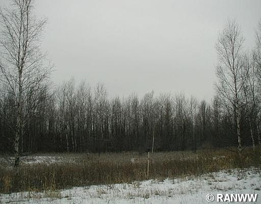 2nd image of 1947 W Wilson Road