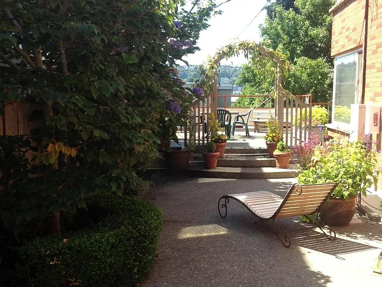 LARGE SHARED PATIO QUIET AND PRIVATE , RELAX OR ENTERTAIN .