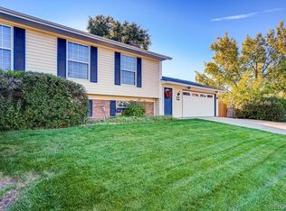 4682 S Yank St, Morrison, CO 80465