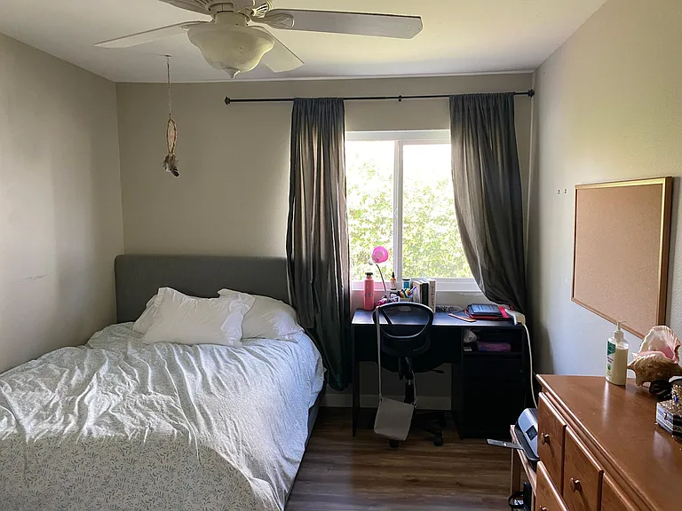 3rd bedroom, wall to wall closet, side yard