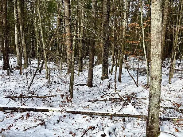 0 Sequoia Mountain Ln, Jay, NY 12941