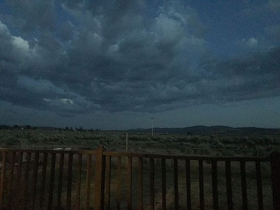 Back yard view