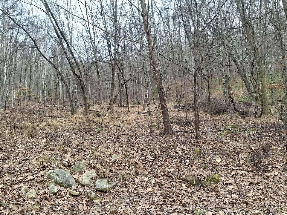 2nd image of 24 Gobbler Ln