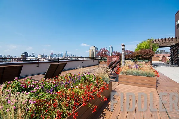 Rented by Fiddler Realty | media 37