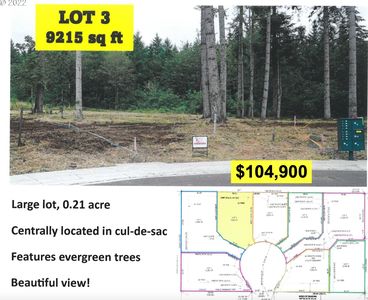 Strawberry Loop LOT 3, Sweet Home, OR, 97386