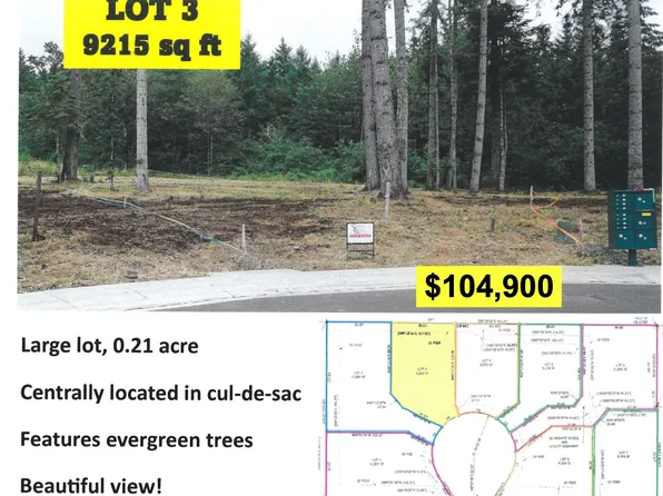 Strawberry Loop Lot 3, Sweet Home, OR 97386