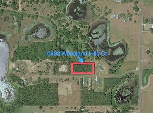 10408 Woodland Hills Ct, Howey In The Hills, FL 34737