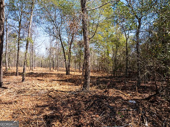 5th image of 10.51 Acres River Rd Lot 1