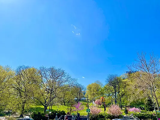 Rented by R New York | media 50