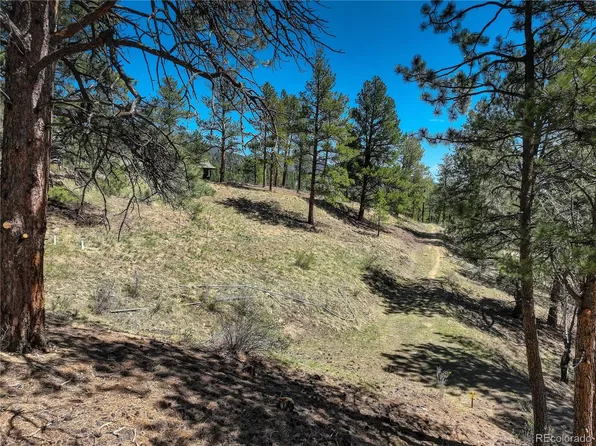 000 Hayden Ridge Road LOT 65, Evergreen, CO 80439