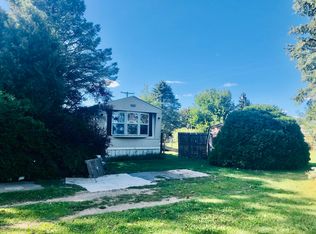 971 Nicholas Rd, Ionia, MI 48846