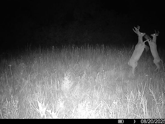 4th image of 23600 S Slick Rd