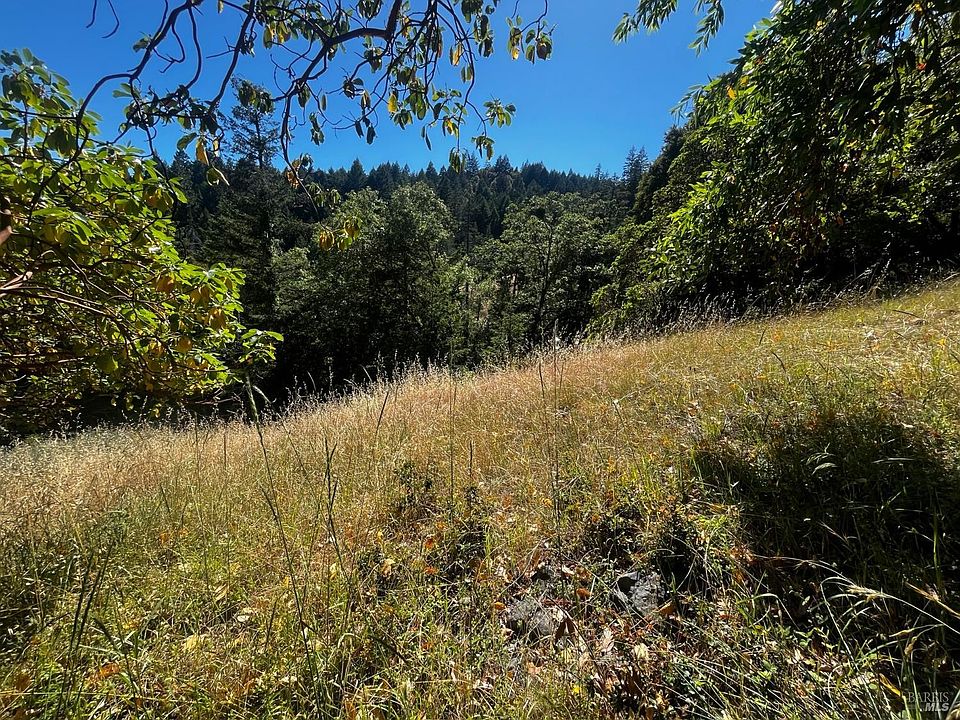 2nd image of 3271 Primrose Drive