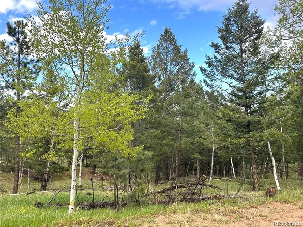 1845 Burland Drive, Bailey, CO 80421