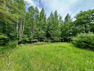 Homestead Rd, Norway, MI, 49870