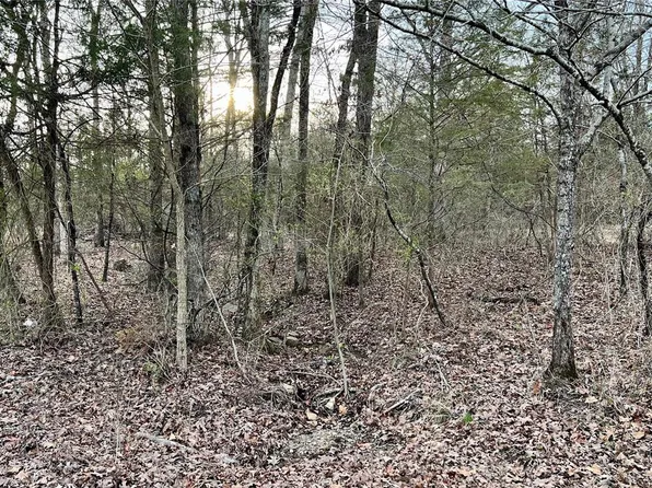 44 Harmony Lake Rd #9a & 8a, Fredericktown, MO 63645